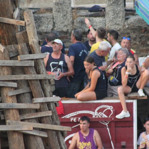 toros 16 agosto 2025 (16)